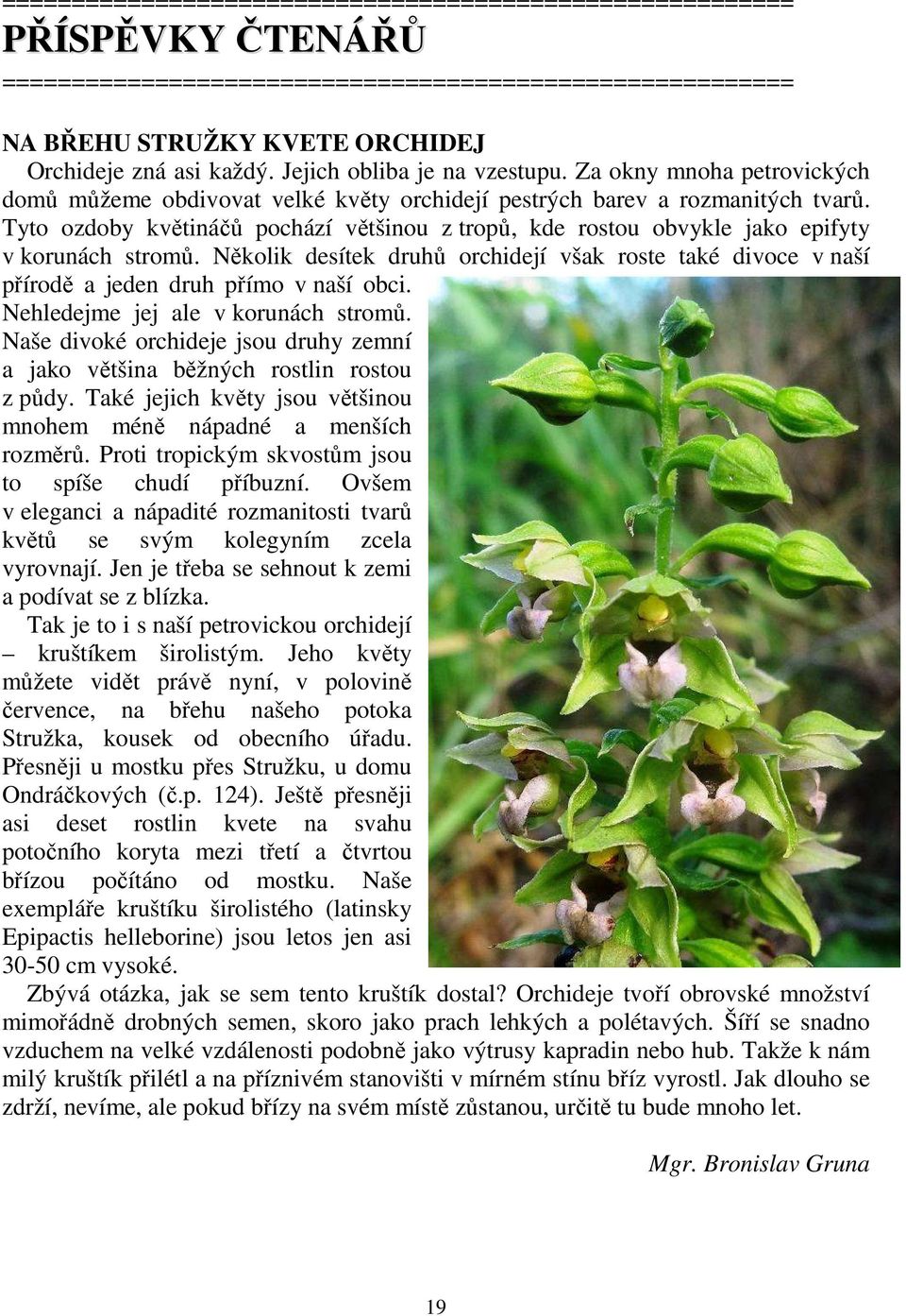 Tyto ozdoby květináčů pochází většinou z tropů, kde rostou obvykle jako epifyty v korunách stromů. Několik desítek druhů orchidejí však roste také divoce v naší přírodě a jeden druh přímo v naší obci.