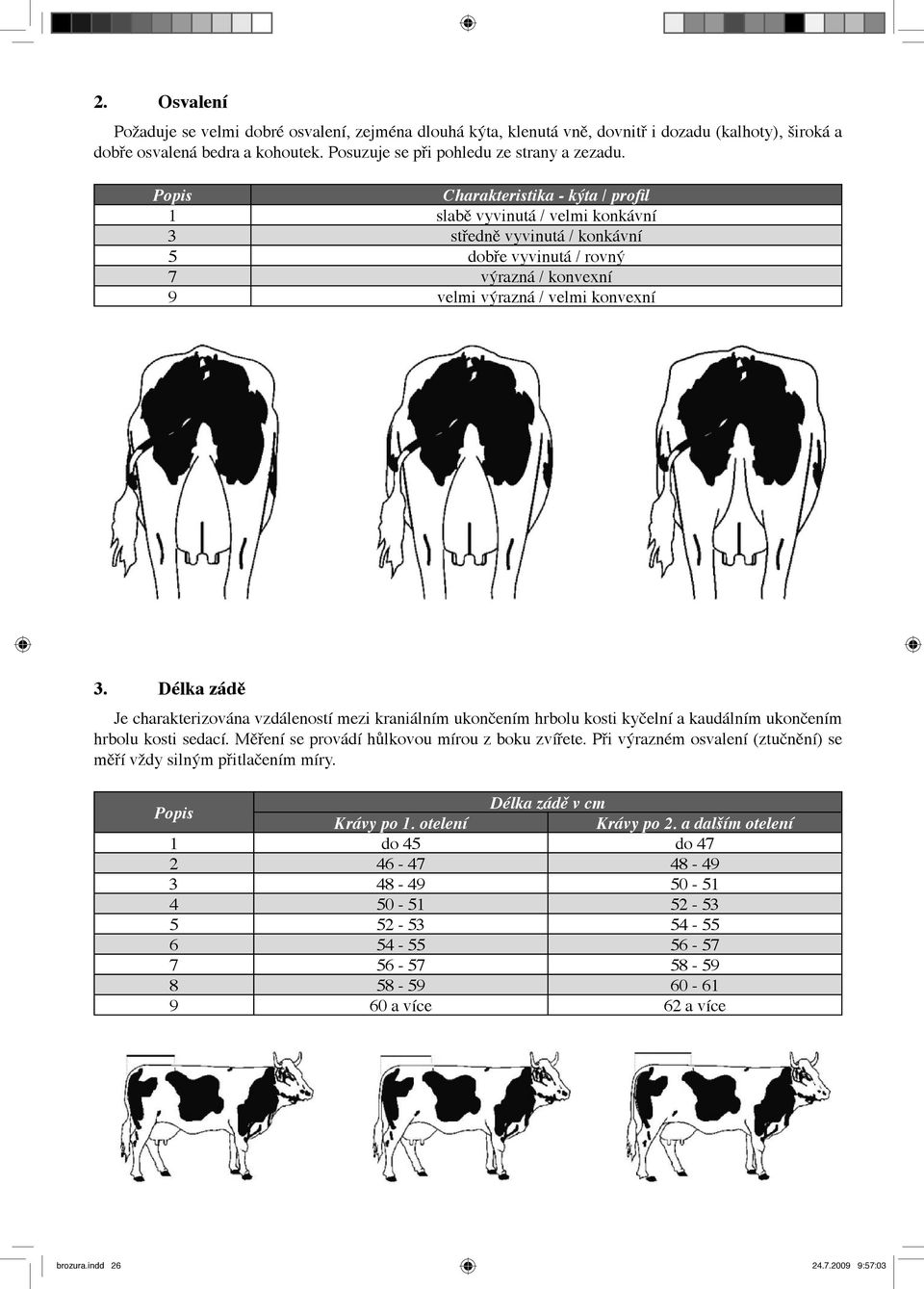 Délka zádě Je charakterizována vzdáleností mezi kraniálním ukončením hrbolu kosti kyčelní a kaudálním ukončením hrbolu kosti sedací. Měření se provádí hůlkovou mírou z boku zvířete.