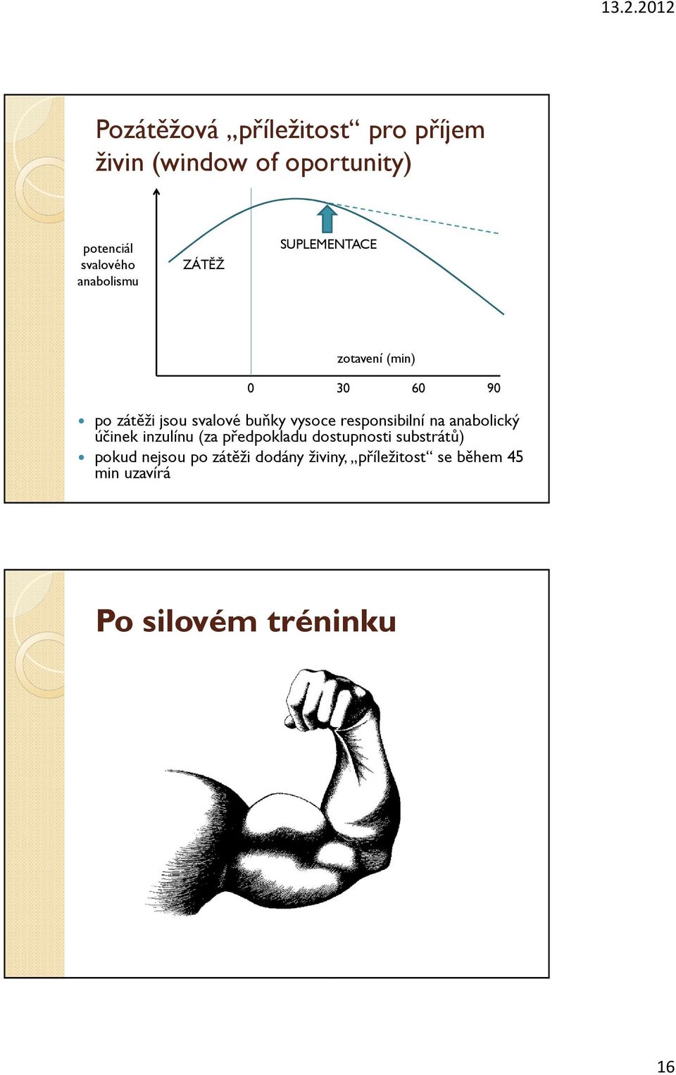 vysoce responsibilní na anabolický účinek inzulínu (za předpokladu dostupnosti