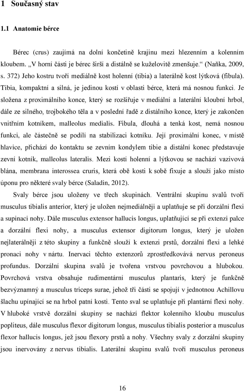 Je složena z proximálního konce, který se rozšiřuje v mediální a laterální kloubní hrbol, dále ze silného, trojbokého těla a v poslední řadě z distálního konce, který je zakončen vnitřním kotníkem,