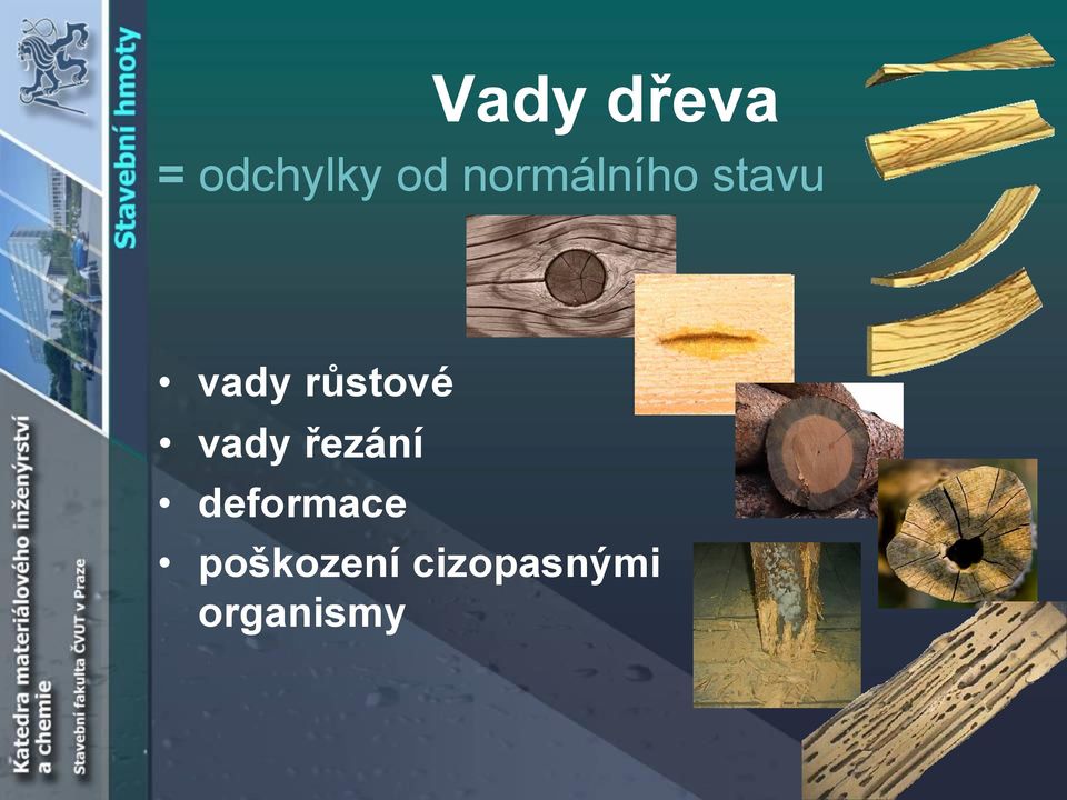 růstové vady řezání