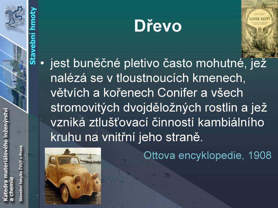 stromovitých dvojděložných rostlin a jež vzniká ztlušťovací