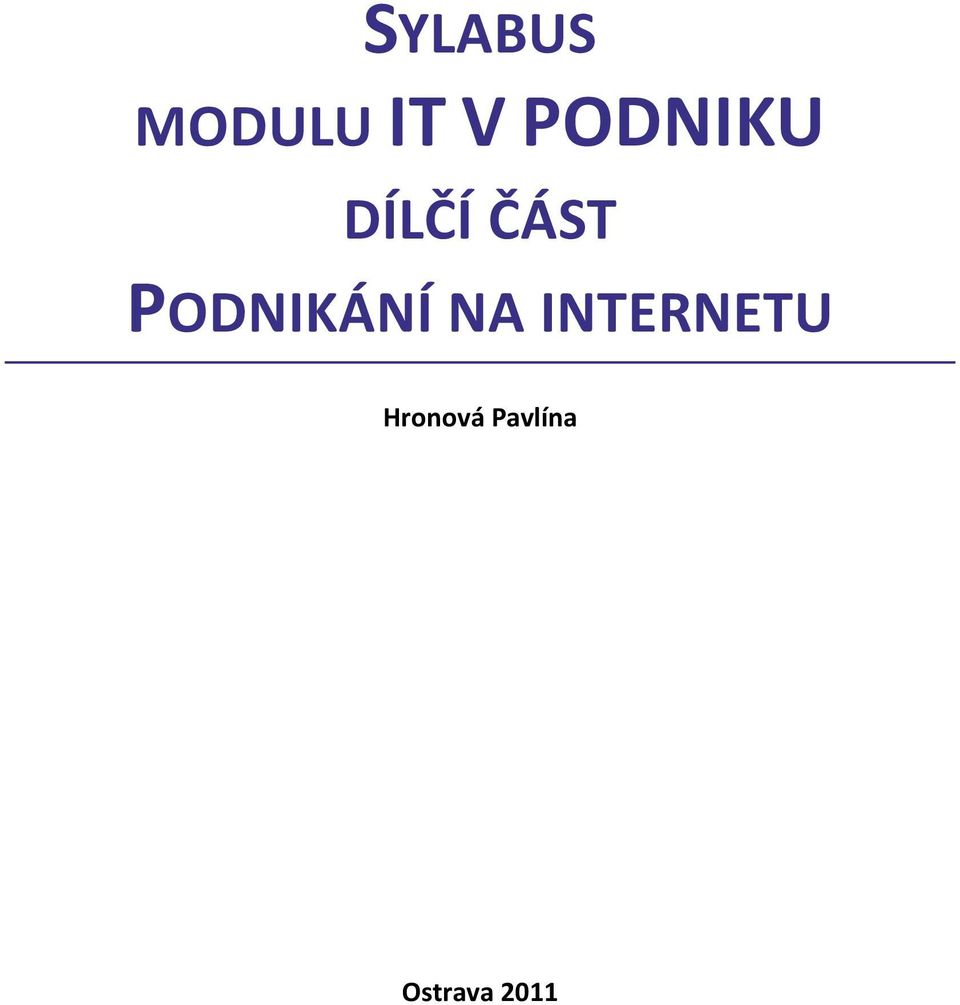 PODNIKÁNÍ NA INTERNETU