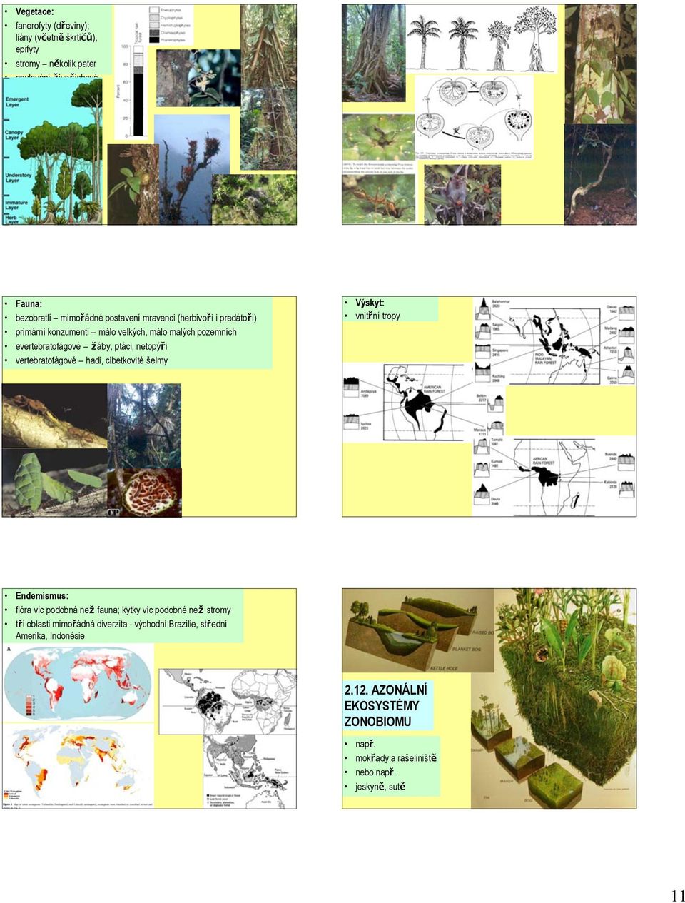 hadi, cibetkovité šelmy Výskyt: vnitřní tropy Endemismus: flóra víc podobná než fauna; kytky víc podobné než stromy tři oblasti mimořádná