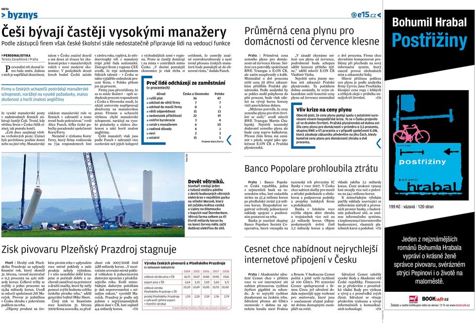 Trend, kdy většinu firem v Česku řídili cizinci, tak pomalu končí. Češi dnes zaujímají většinu vrcholových pozic. Cizinci byli povětšinou posláni domů nebo na jiné trhy.