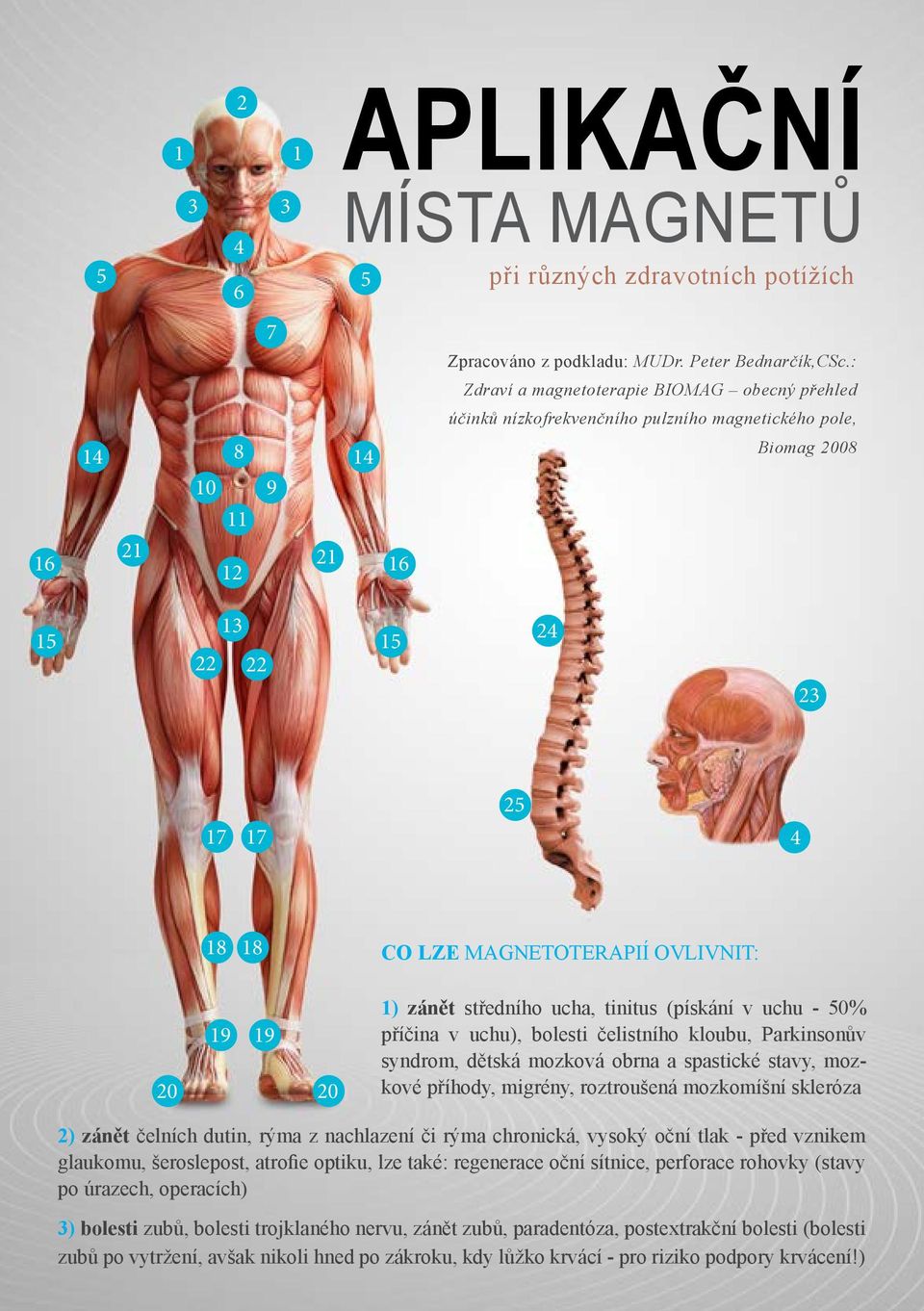 MAGNETOTERAPIÍ OVLIVNIT: 19 19 20 20 1) zánět středního ucha, tinitus (pískání v uchu - 50% příčina v uchu), bolesti čelistního kloubu, Parkinsonův syndrom, dětská mozková obrna a spastické stavy,