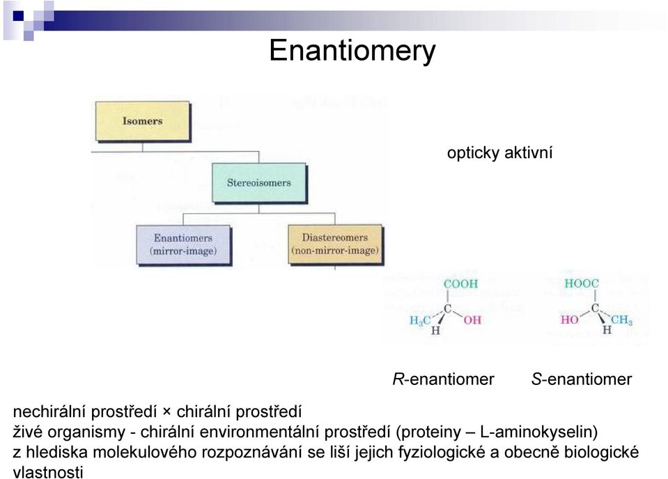 environmentální prostředí (proteiny L-aminokyselin) z hlediska