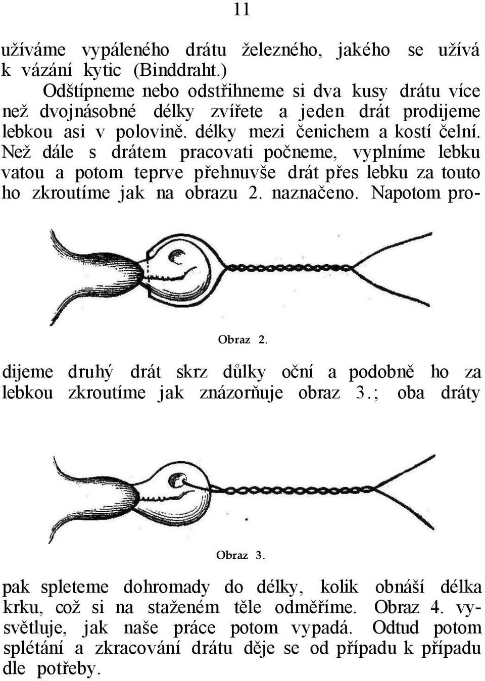 Než dále s drátem pracovati počneme, vyplníme lebku vatou a potom teprve přehnuvše drát přes lebku za touto ho zkroutíme jak na obrazu 2. naznačeno. Napotom pro- Obraz 2.