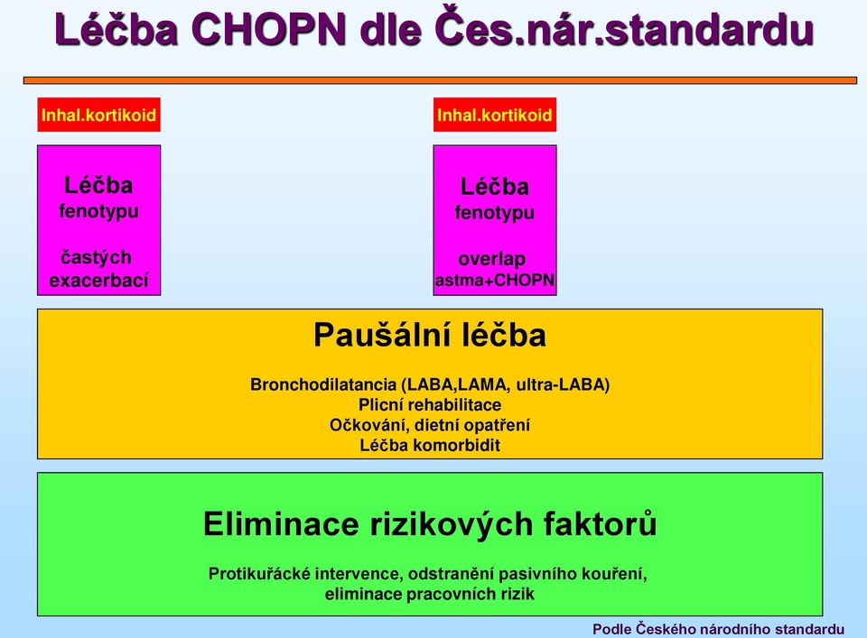 (LABA,LAMA, ultra-laba) Plicní rehabilitace Očkování, dietní opatření komorbidit