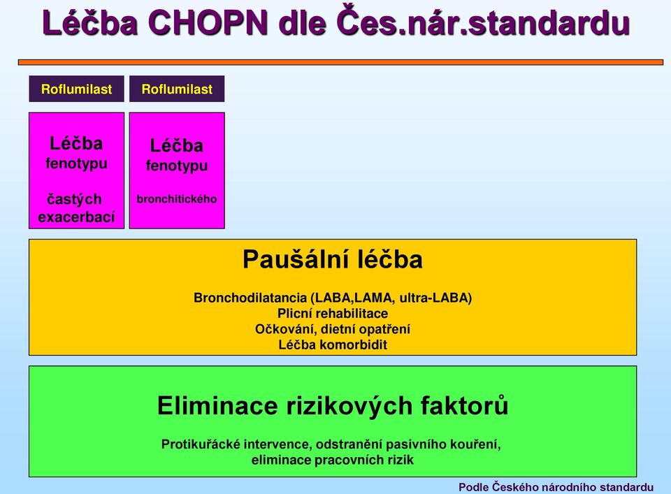 Bronchodilatancia (LABA,LAMA, ultra-laba) Plicní rehabilitace Očkování, dietní