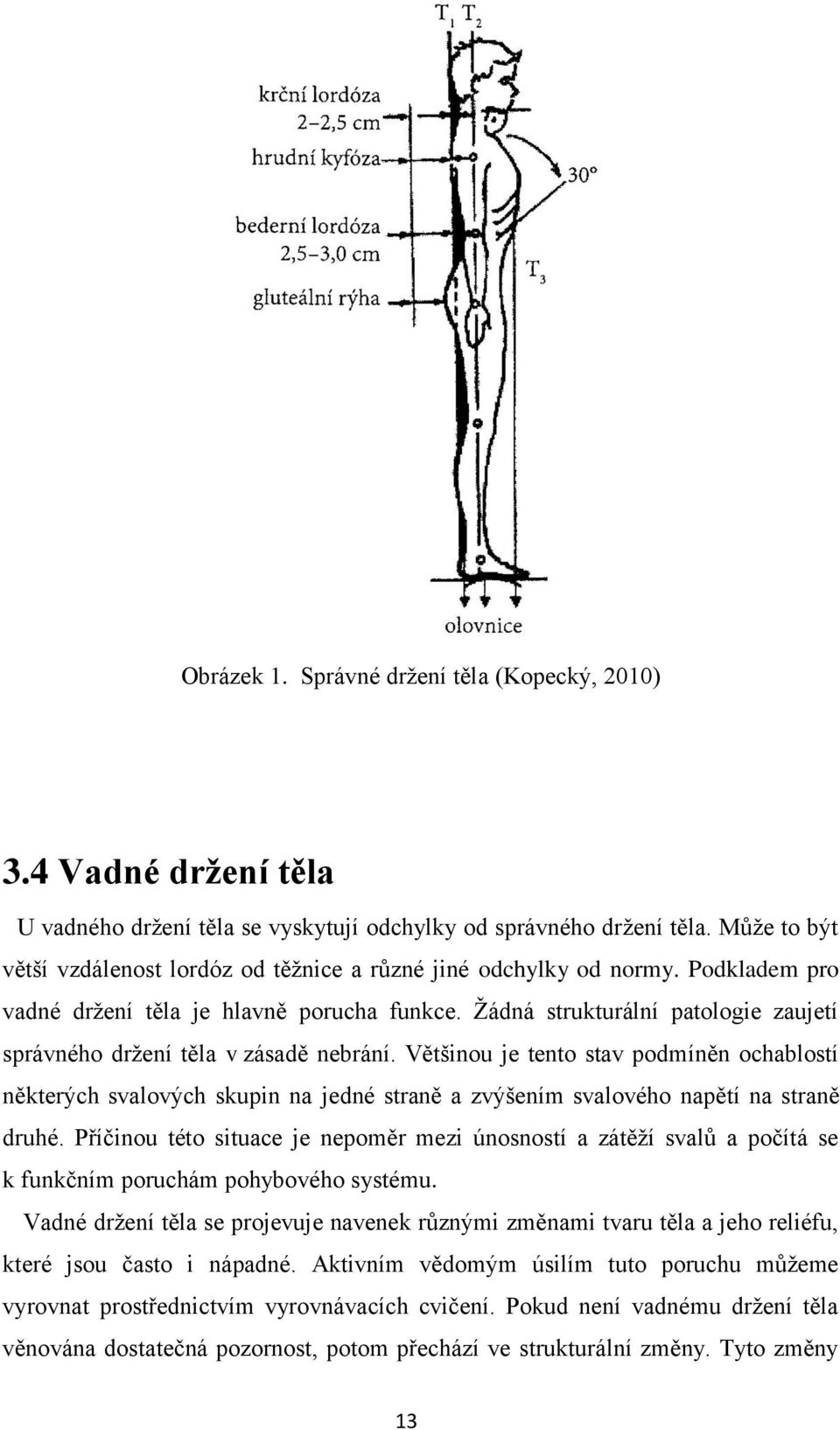 Ţádná strukturální patologie zaujetí správného drţení těla v zásadě nebrání.