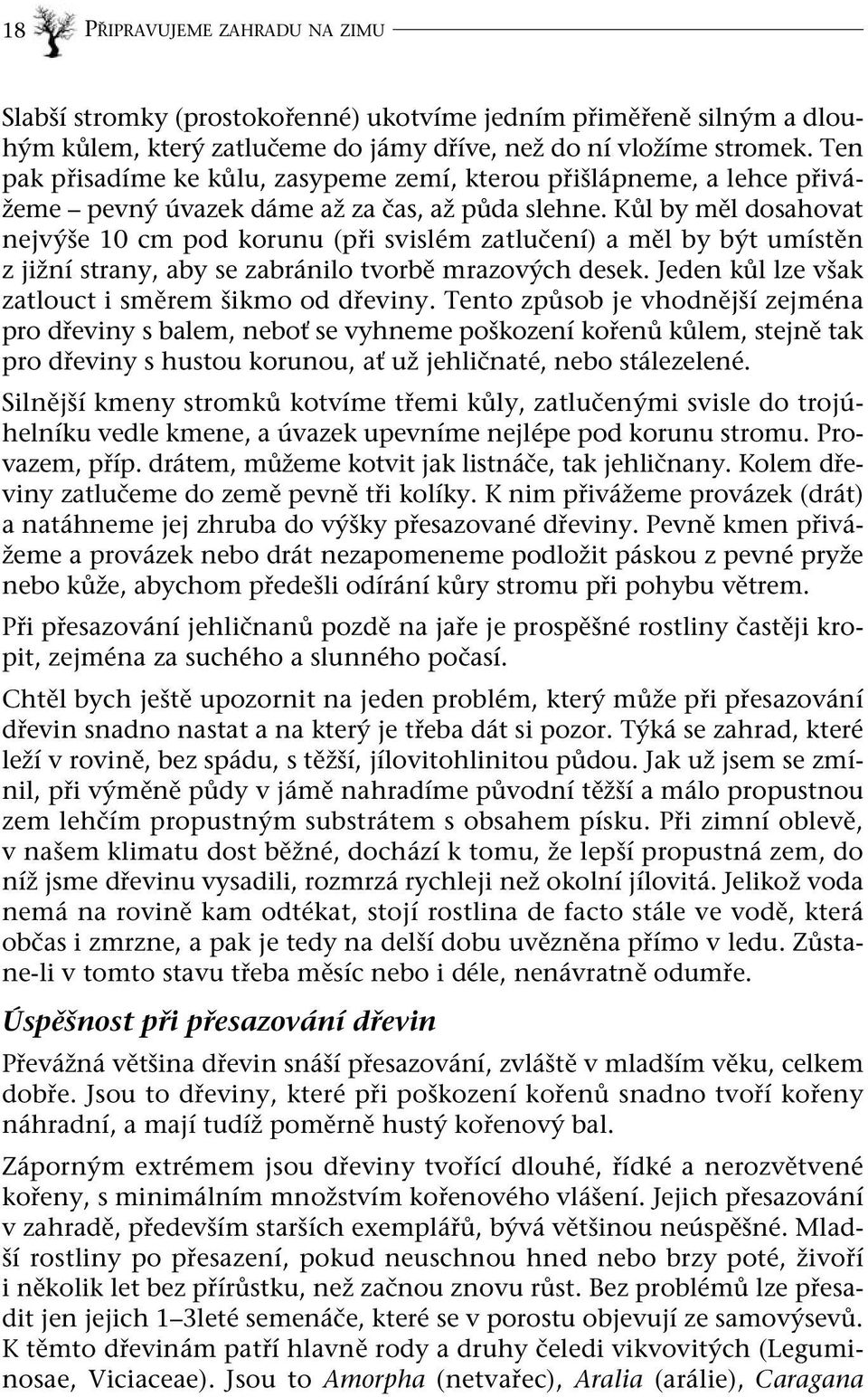 Kůl by měl dosahovat nejvýše 10 cm pod korunu (při svislém zatlučení) a měl by být umístěn z jižní strany, aby se zabránilo tvorbě mrazových desek.