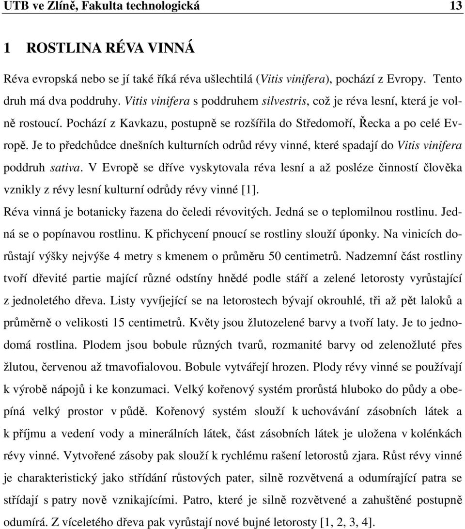 Je to předchůdce dnešních kulturních odrůd révy vinné, které spadají do Vitis vinifera poddruh sativa.