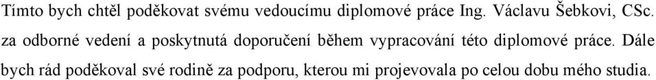 za odborné vedení a poskytnutá doporučení během vypracování této