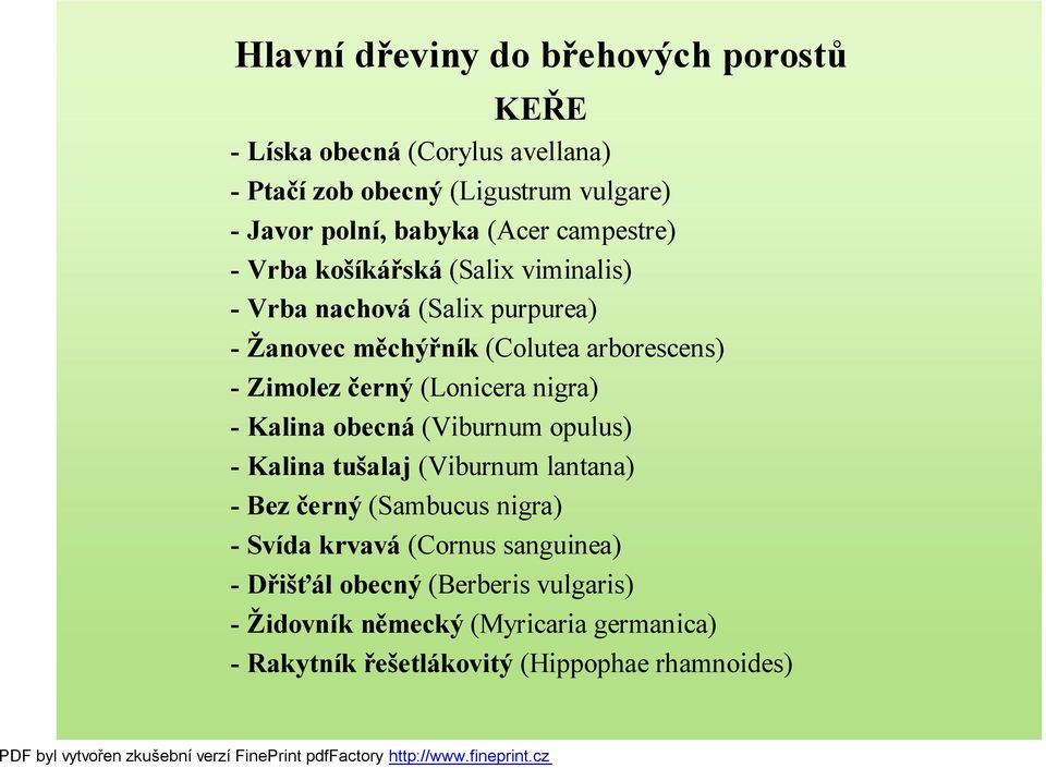 černý (Lonicera nigra) - Kalina obecná (Viburnum opulus) - Kalina tušalaj (Viburnum lantana) - Bez černý (Sambucus nigra) - Svída krvavá