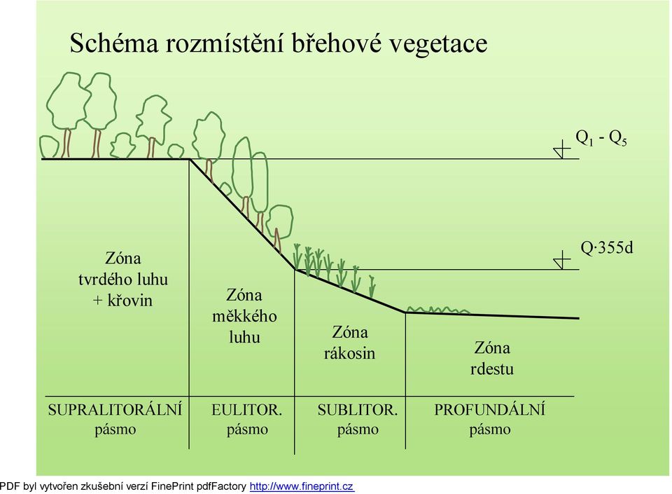 Zóna rákosin Zóna rdestu Q 355d SUPRALITORÁLNÍ