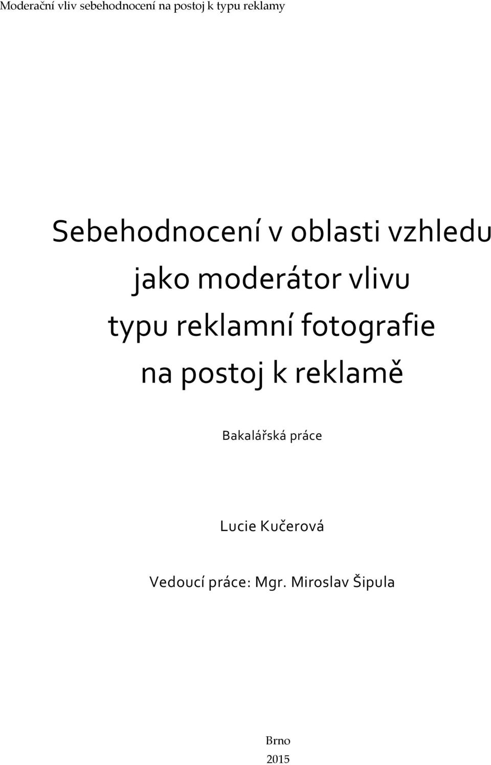 postoj k reklamě Bakalářská práce Lucie