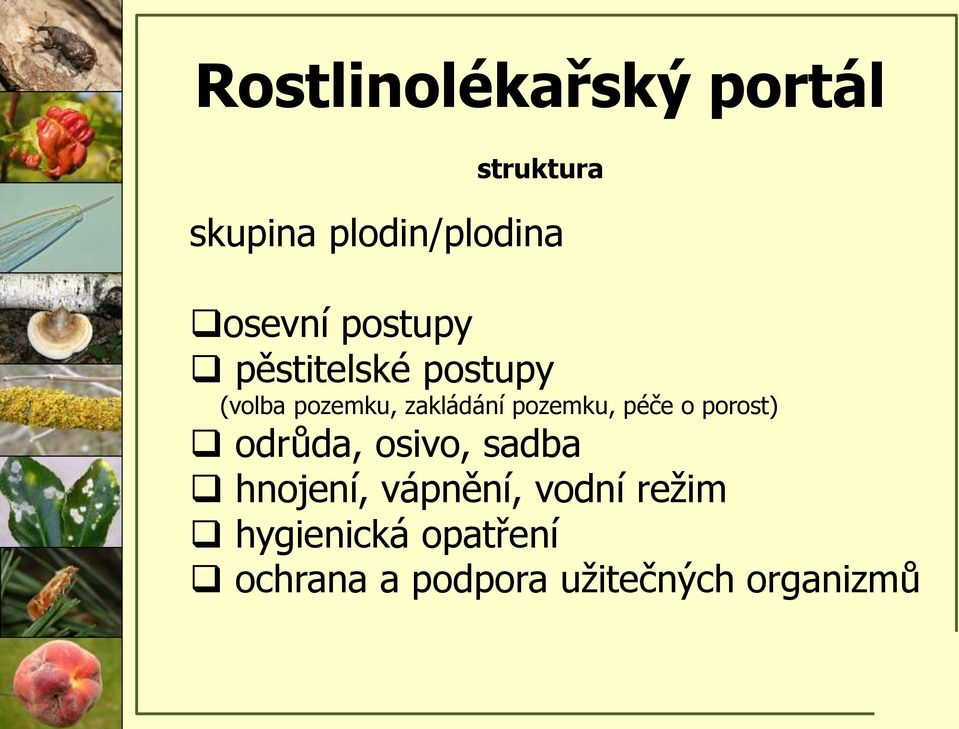 pozemku, péče o porost) odrůda, osivo, sadba hnojení, vápnění,