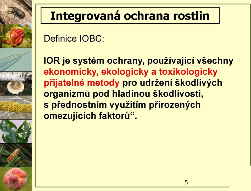 toxikologicky přijatelné metody pro udržení škodlivých organizmů