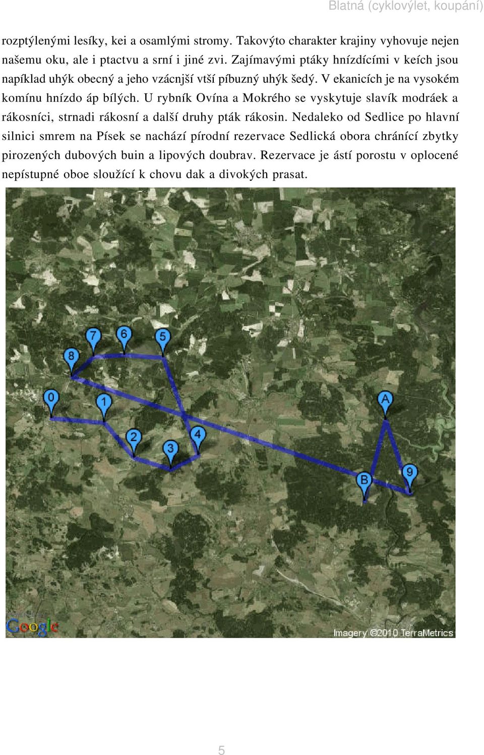 U rybník Ovína a Mokrého se vyskytuje slavík modráek a rákosníci, strnadi rákosní a další druhy pták rákosin.