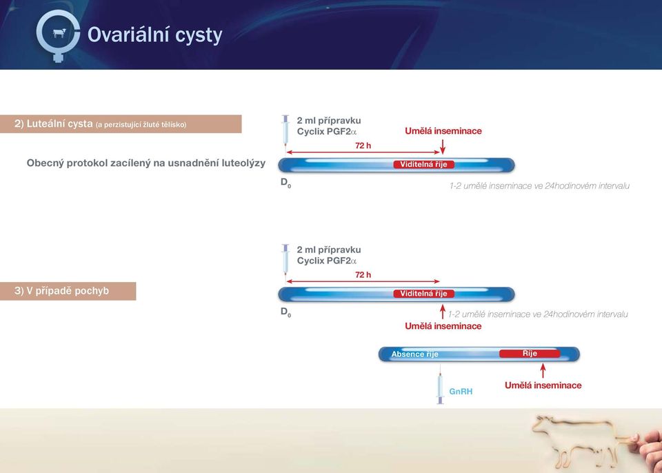 1-2 umělé inseminace ve 24hodinovém intervalu 3) V případě