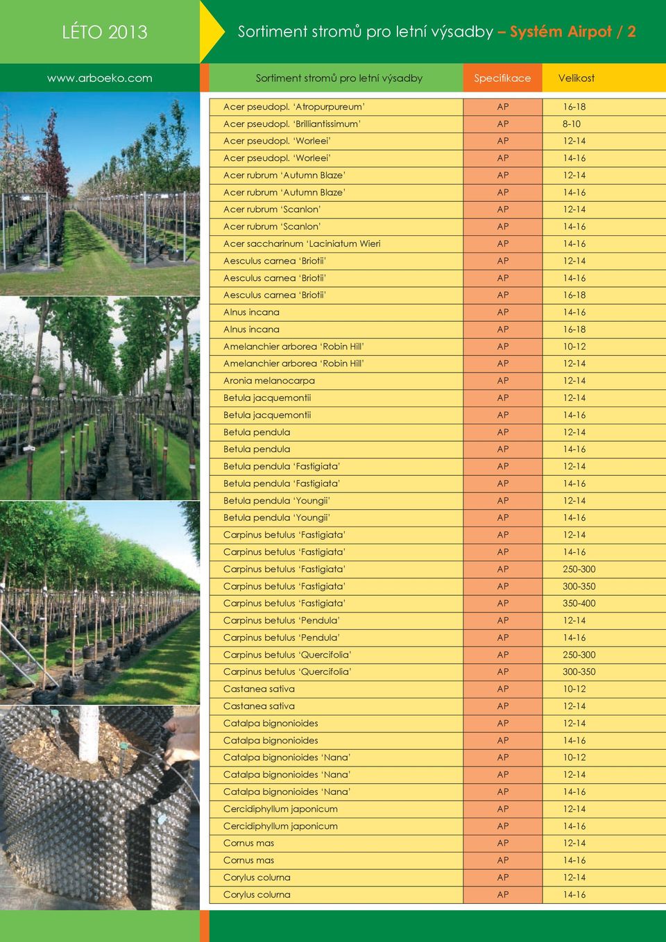 carnea Briotii AP 12-14 Aesculus carnea Briotii AP 14-16 Aesculus carnea Briotii AP 16-18 Alnus incana AP 14-16 Alnus incana AP 16-18 Amelanchier arborea Robin Hill AP 10-12 Amelanchier arborea Robin