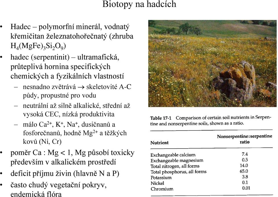 neutrální až silně alkalické, střední až vysoká CEC, nízká produktivita málo Ca 2+, K +, Na +, dusičnanů a fosforečnanů, hodně Mg 2+ a těžkých