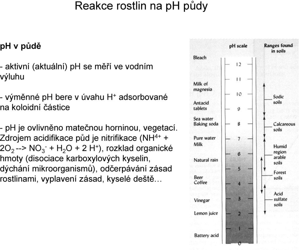 Zdrojem acidifikace půd je nitrifikace (NH 4+ + 2O 2 --> NO 3 - + H 2 O + 2 H + ), rozklad organické