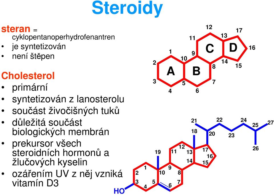 všech steroidních hormonů a žlučových kyselin ozářením UV z něj vzniká vitamín D3 HO 2 1 2 3 3 4 5