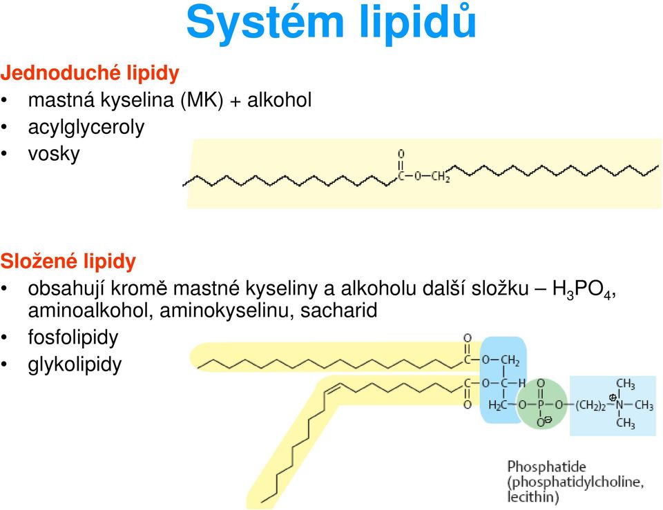 obsahují kromě mastné kyseliny a alkoholu další složku