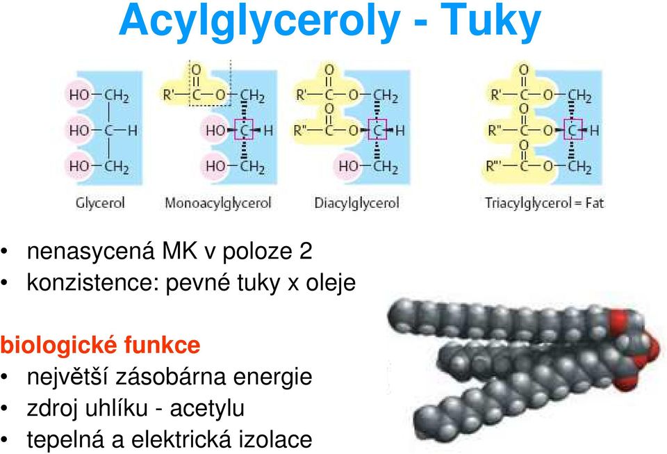 biologické funkce největší zásobárna