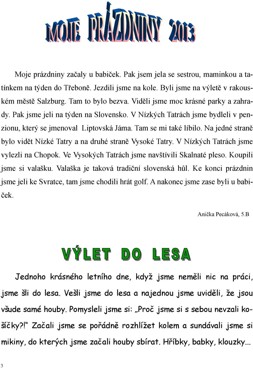 Na jedné straně bylo vidět Nízké Tatry a na druhé straně Vysoké Tatry. V Nízkých Tatrách jsme vylezli na Chopok. Ve Vysokých Tatrách jsme navštívili Skalnaté pleso. Koupili jsme si valašku.