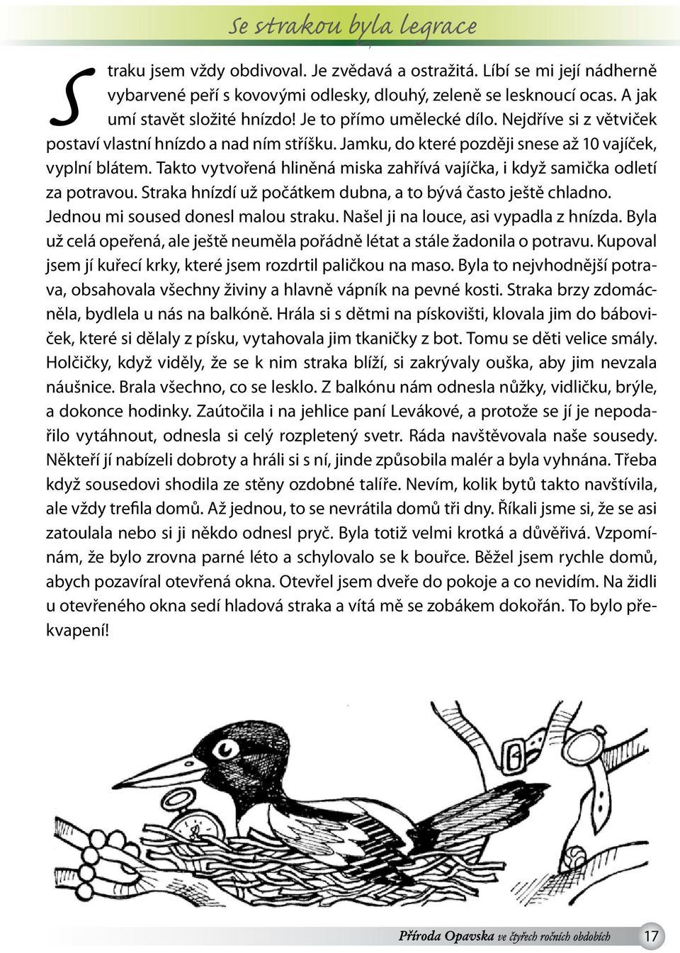 Takto vytvořená hliněná miska zahřívá vajíčka, i když samička odletí za potravou. Straka hnízdí už počátkem dubna, a to bývá často ještě chladno. Jednou mi soused donesl malou straku.