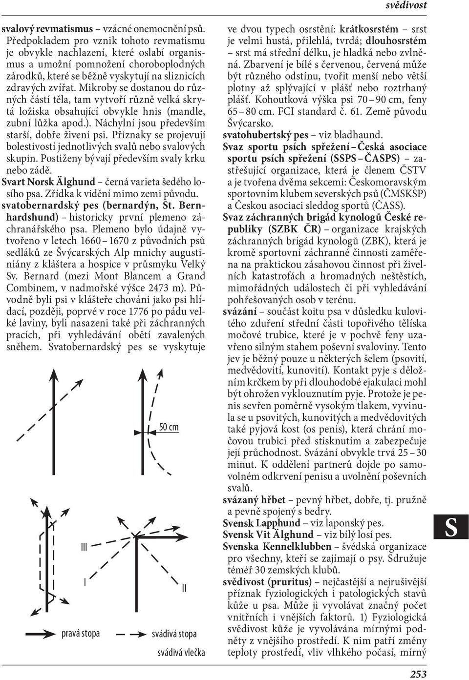 Mikroby se dostanou do různých částí těla, tam vytvoří různě velká skrytá ložiska obsahující obvykle hnis (mandle, zubní lůžka apod.). Náchylní jsou především starší, dobře živení psi.