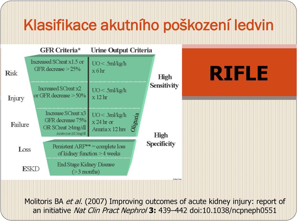 (2007) Improving outcomes of acute kidney