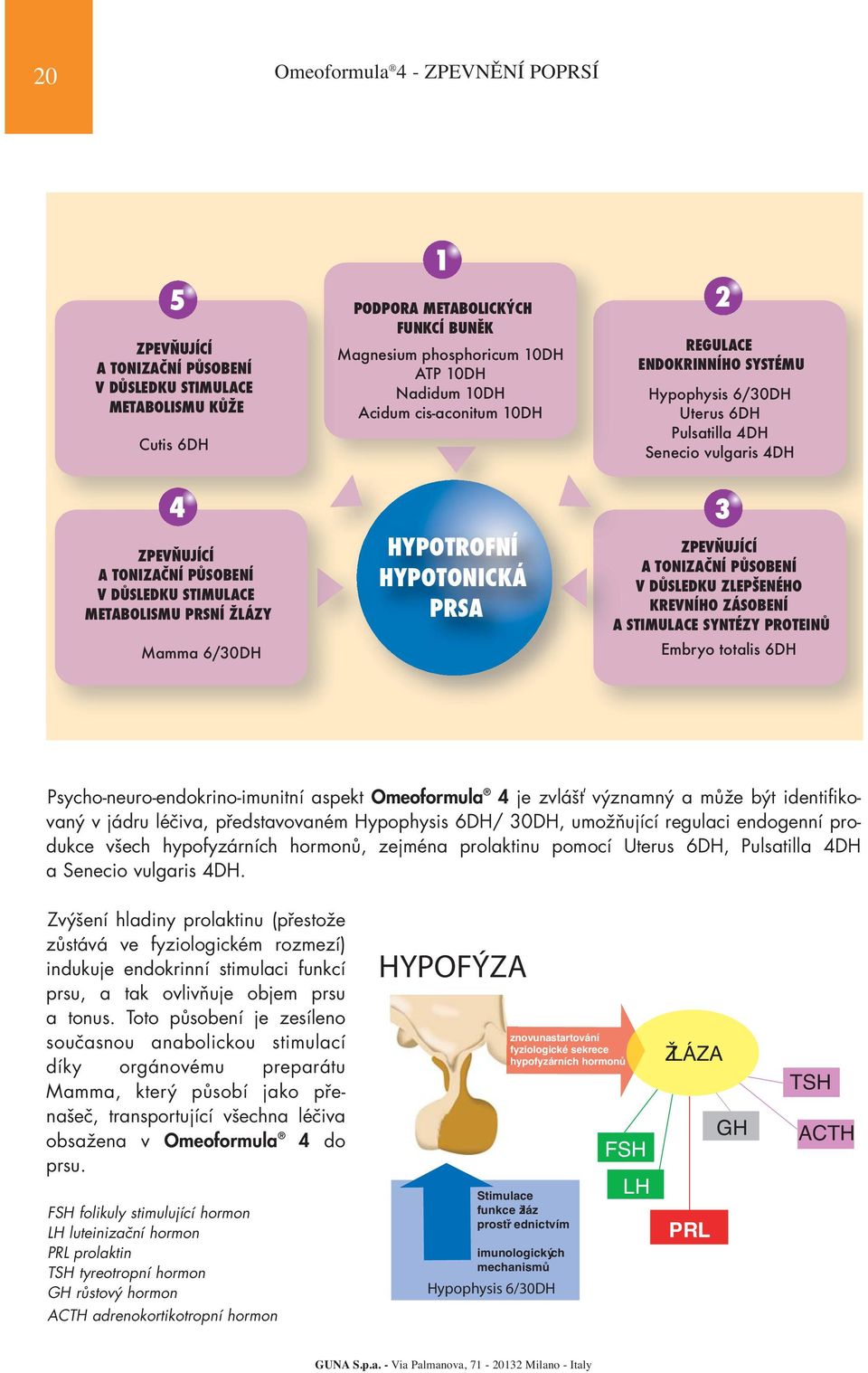 Mamma 6/30DH HYPOTROFNÍ HYPOTONICKÁ PRSA 3 ZPEVŇUJÍCÍ A TONIZAČNÍ PŮSOBENÍ V DŮSLEDKU ZLEPŠENÉHO KREVNÍHO ZÁSOBENÍ A STIMULACE SYNTÉZY PROTEINŮ Embryo totalis Psycho-neuro-endokrino-imunitní aspekt