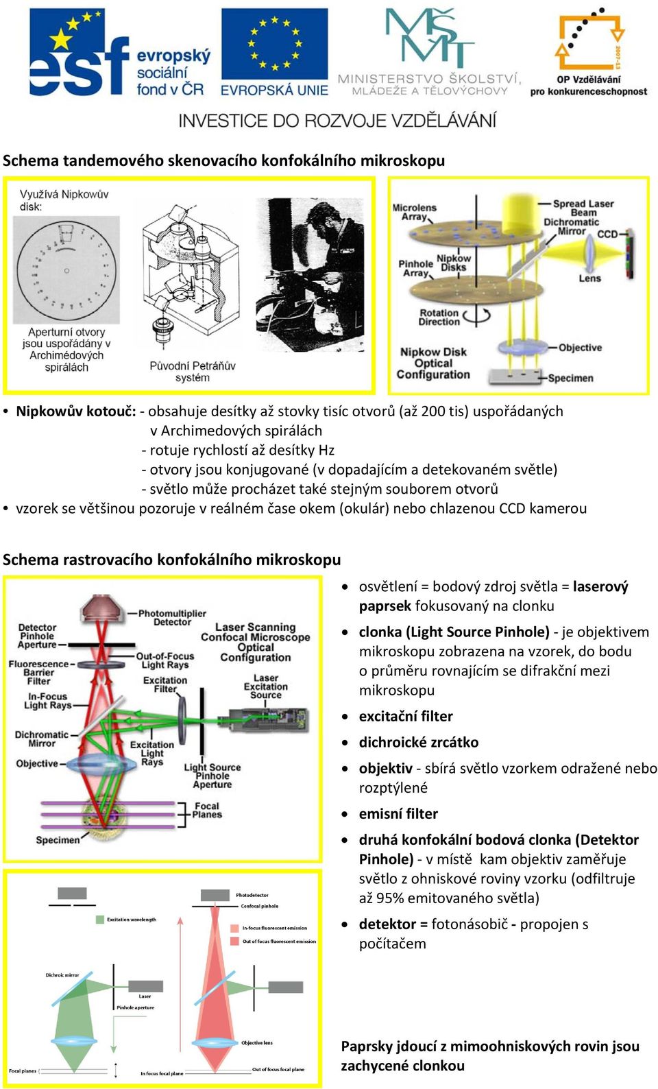 Schema rastrovacího konfokálního mikroskopu osvětlení = bodový zdroj světla = laserový paprsek fokusovaný na clonku clonka (Light Source Pinhole) je objektivem mikroskopu zobrazena na vzorek, do bodu