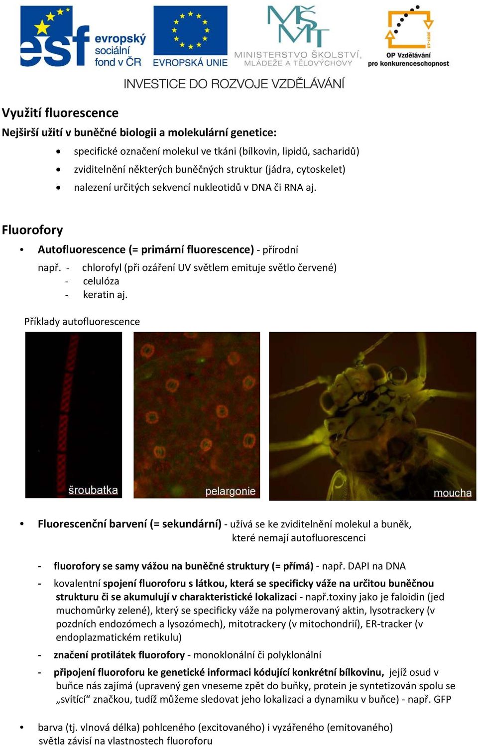 chlorofyl (při ozáření UV světlem emituje světlo červené) - celulóza - keratin aj.