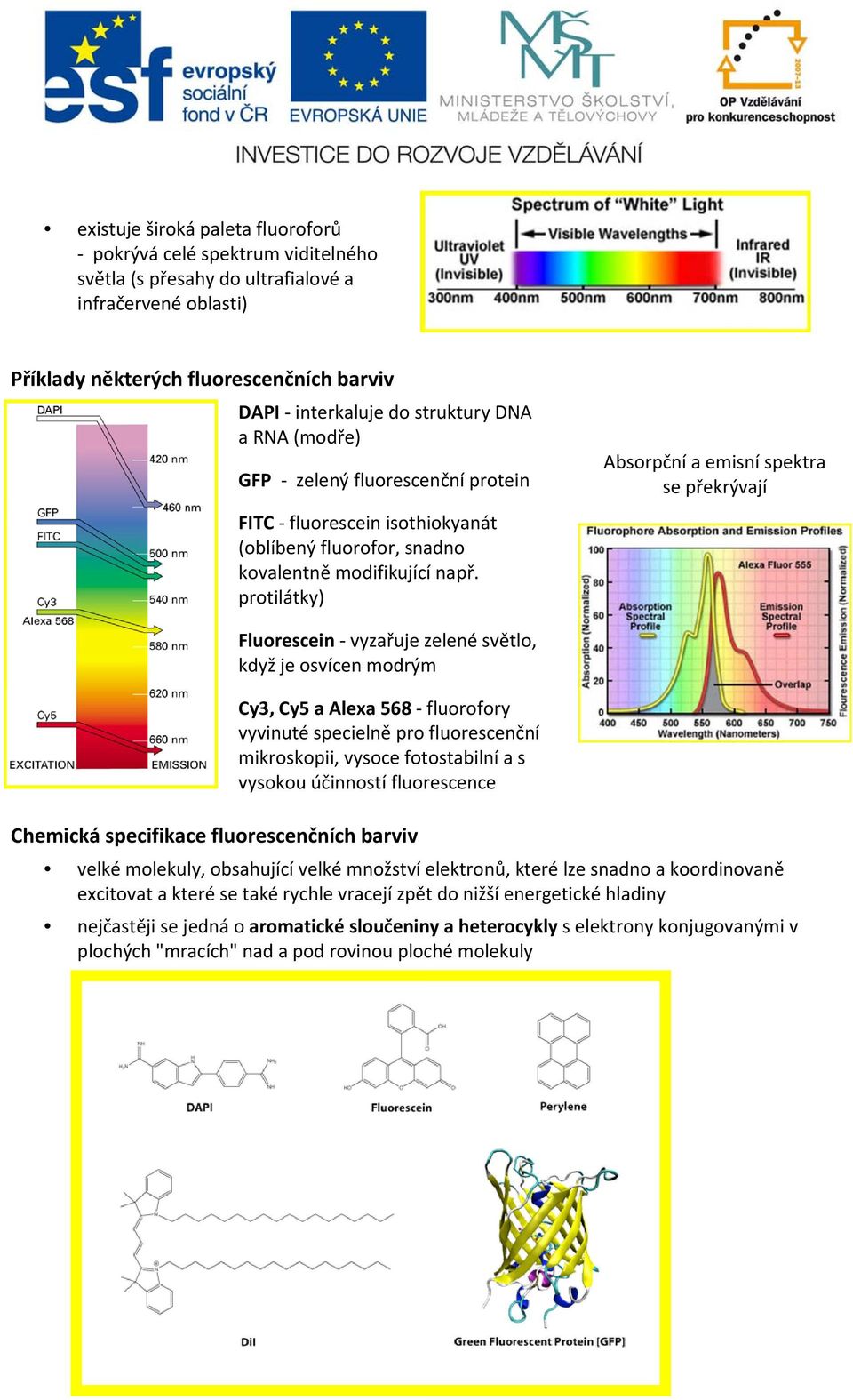 protilátky) Absorpční a emisní spektra se překrývají Fluorescein vyzařuje zelené světlo, když je osvícen modrým Cy3, Cy5 a Alexa 568 fluorofory vyvinuté specielně pro fluorescenční mikroskopii,