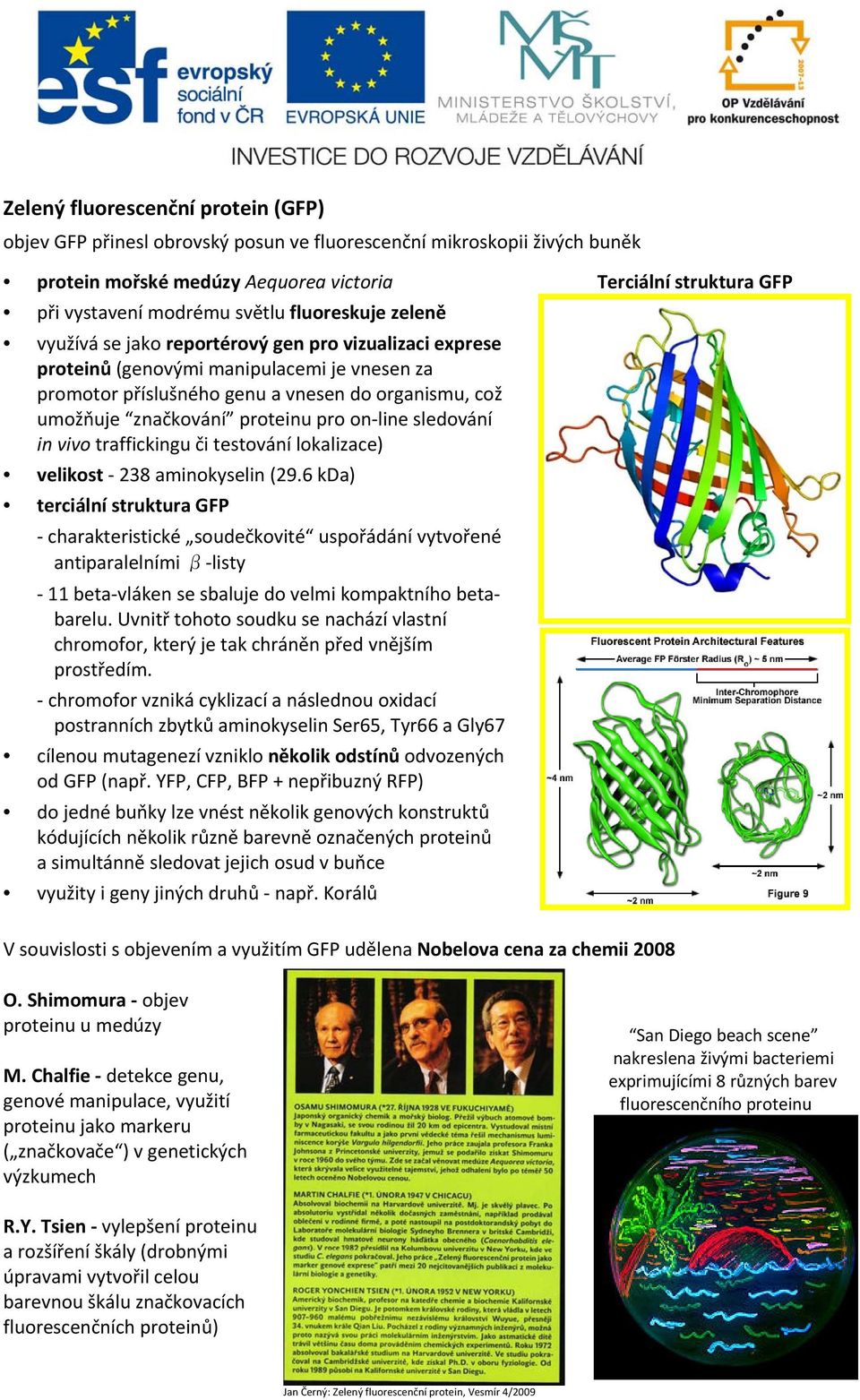 sledování in vivo traffickingu či testování lokalizace) velikost 238 aminokyselin (29.