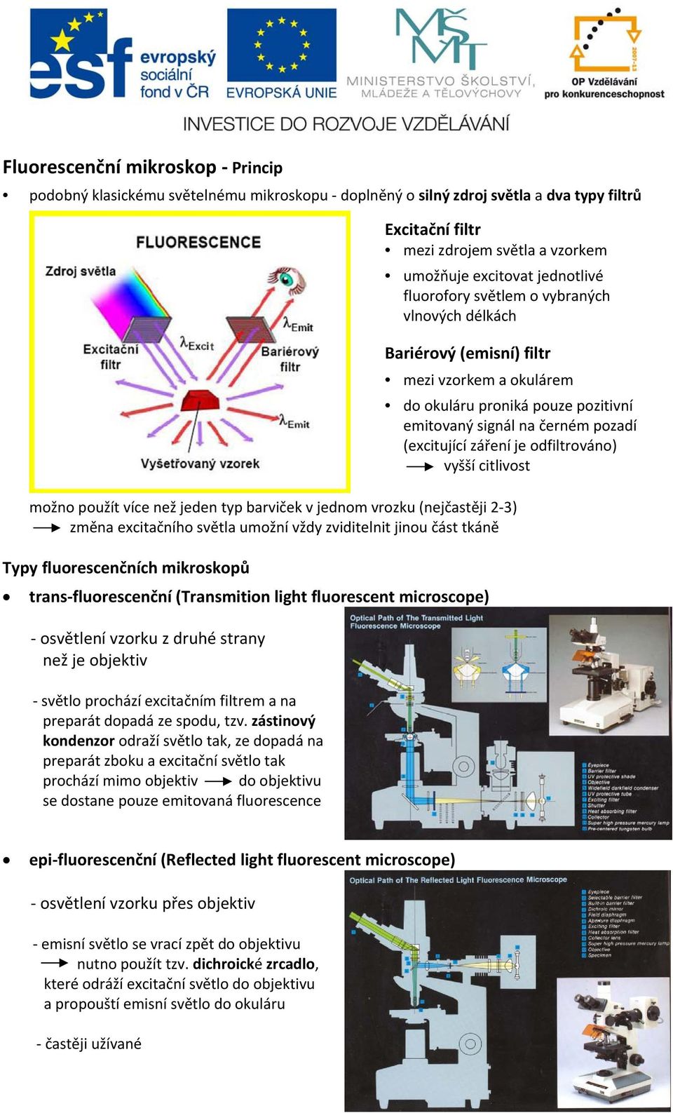 odfiltrováno) vyšší citlivost možno použít více než jeden typ barviček v jednom vrozku (nejčastěji 2 3) změna excitačního světla umožní vždy zviditelnit jinou část tkáně Typy fluorescenčních