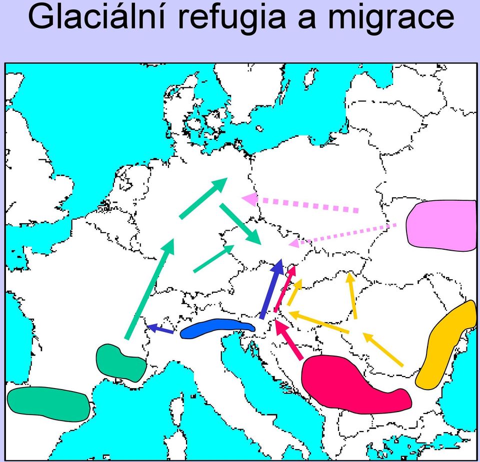 migrace