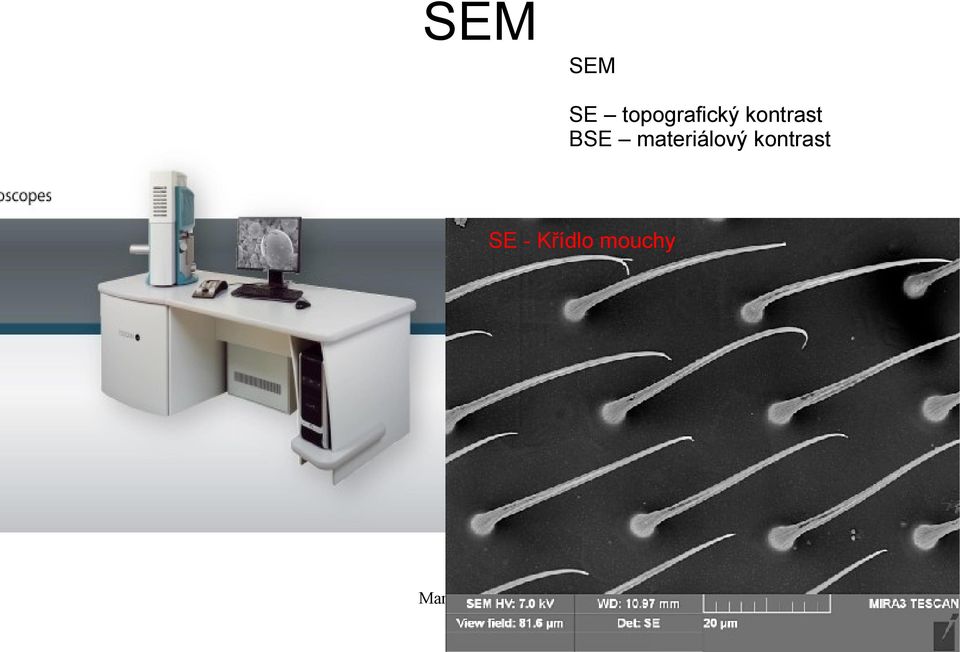 kontrast BSE