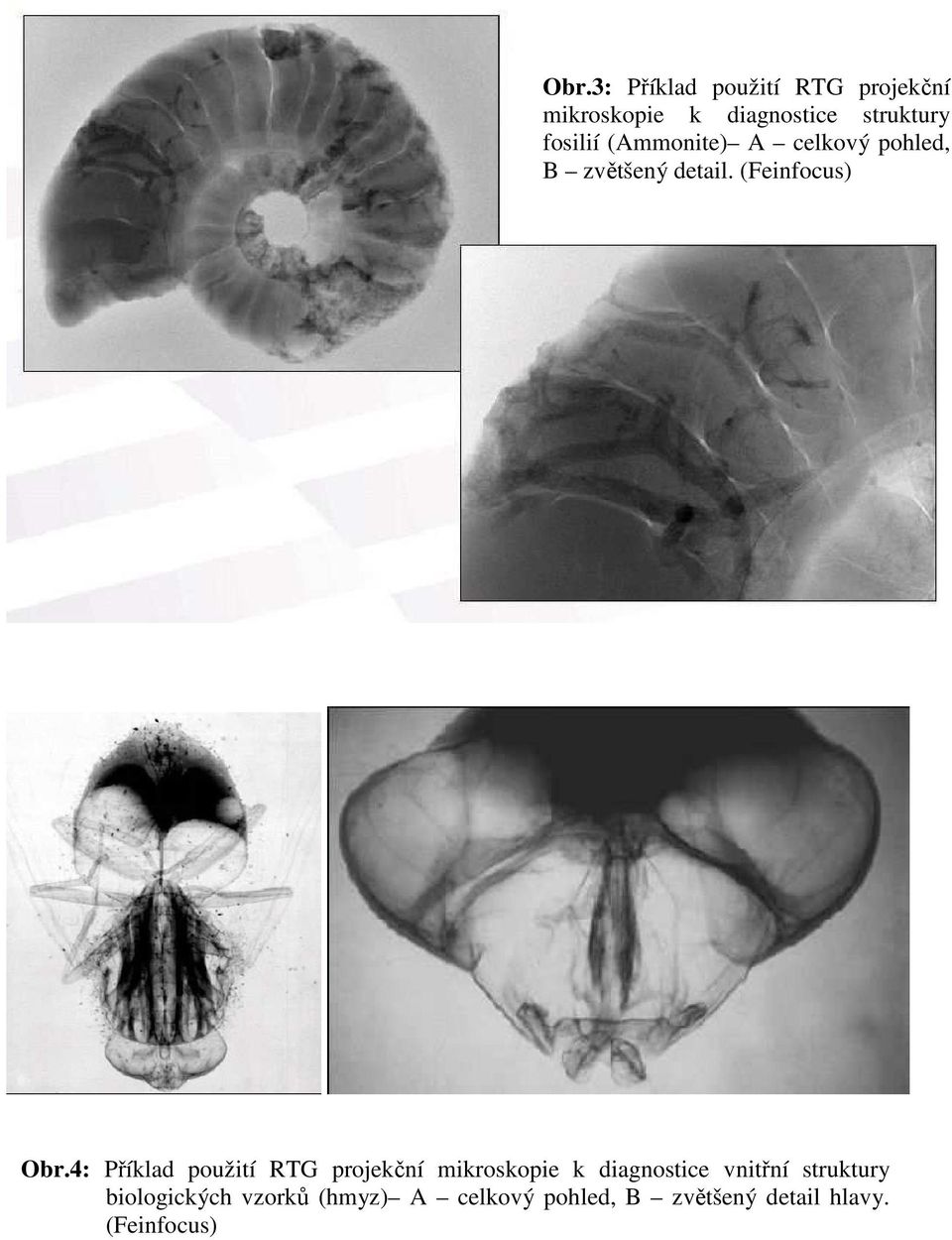 4: Příklad použití RTG projekční mikroskopie k diagnostice vnitřní