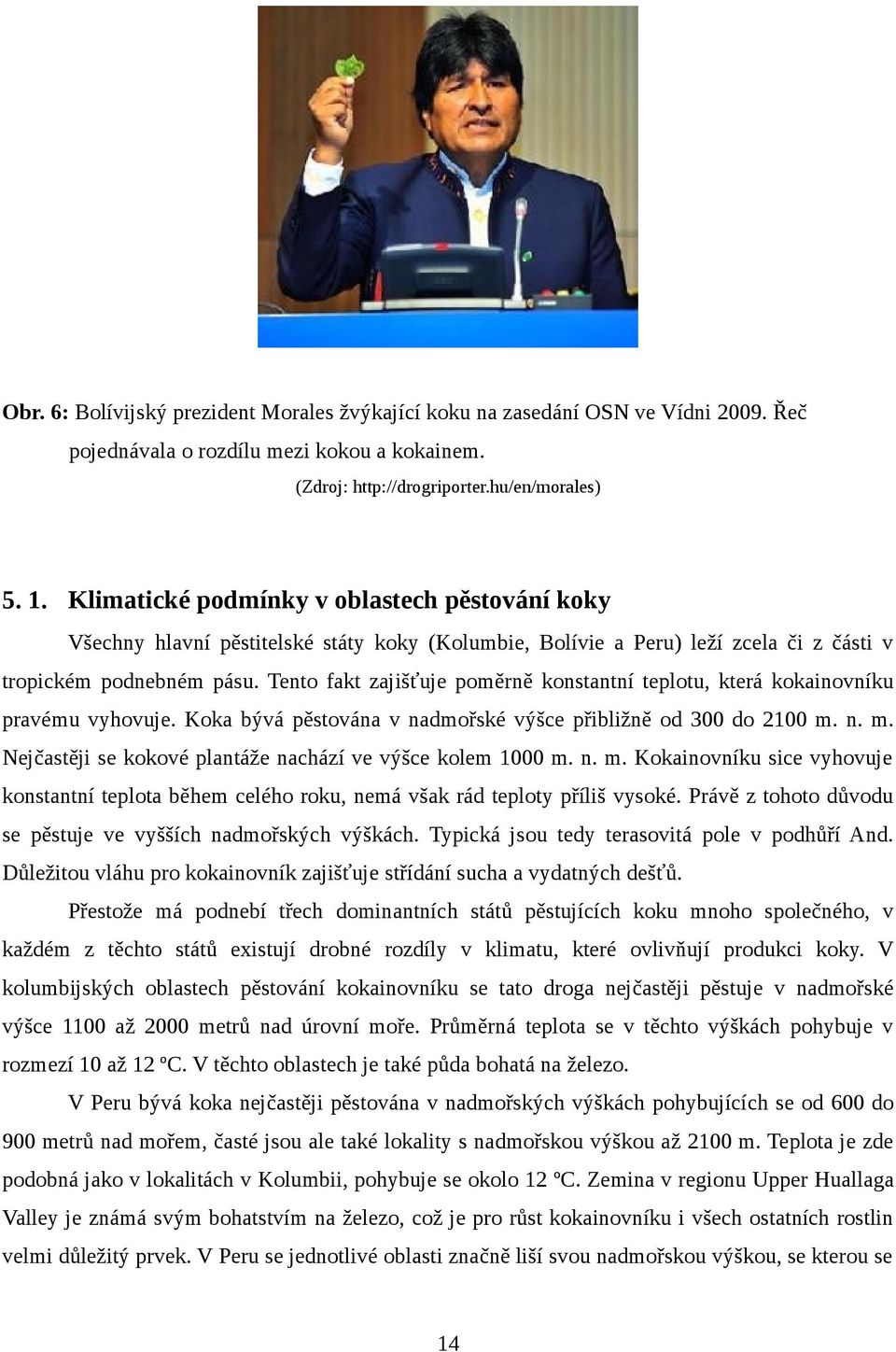 Tento fakt zajišťuje poměrně konstantní teplotu, která kokainovníku pravému vyhovuje. Koka bývá pěstována v nadmořské výšce přibližně od 300 do 2100 m.