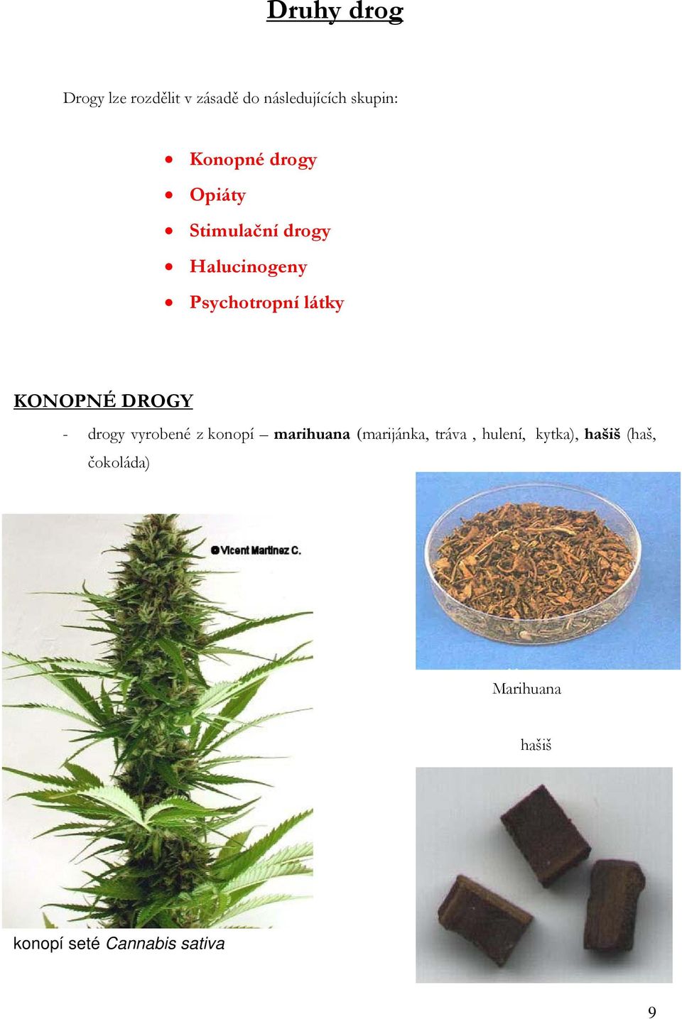 DROGY - drogy vyrobené z konopí marihuana (marijánka, tráva, hulení,