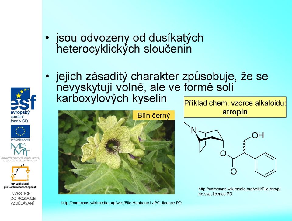 černý Příklad chem. vzorce alkaloidu: atropin http://commons.wikimedia.