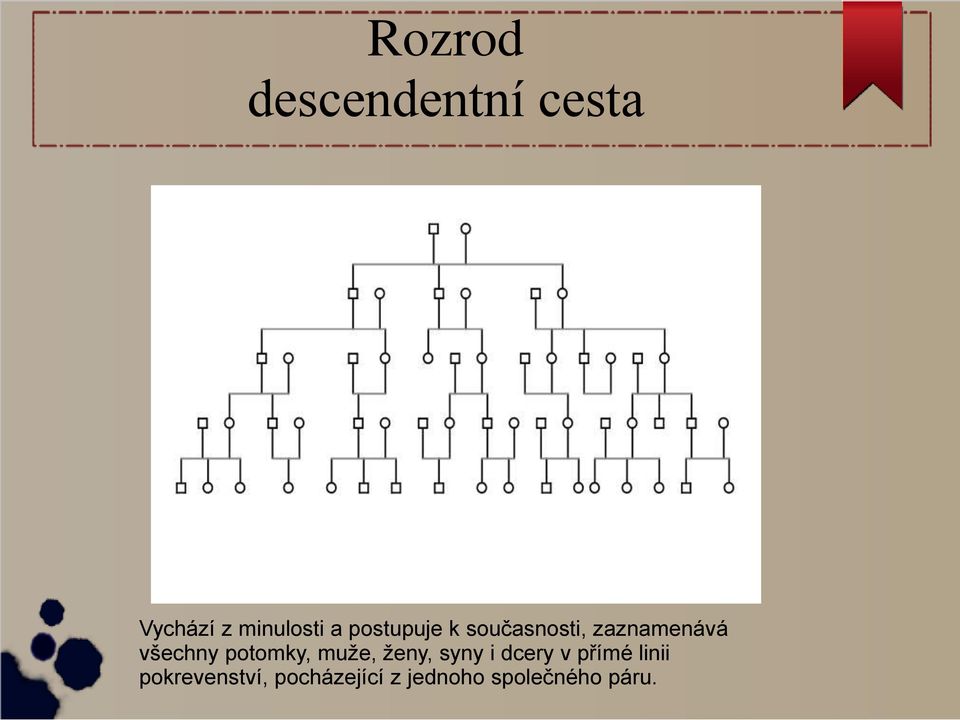 potomky, muže, ženy, syny i dcery v přímé linii