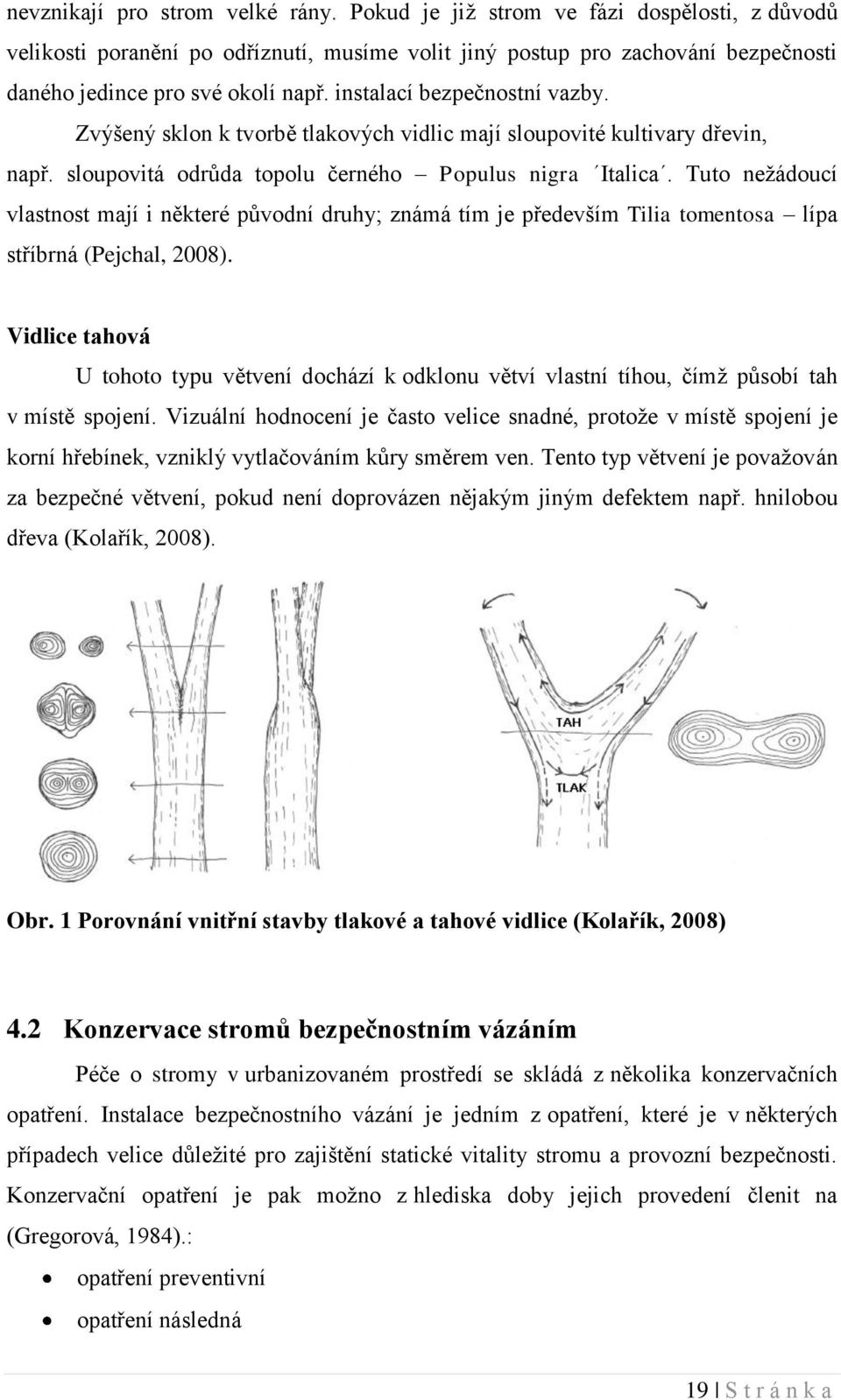 Tuto nežádoucí vlastnost mají i některé původní druhy; známá tím je především Tilia tomentosa lípa stříbrná (Pejchal, 2008).