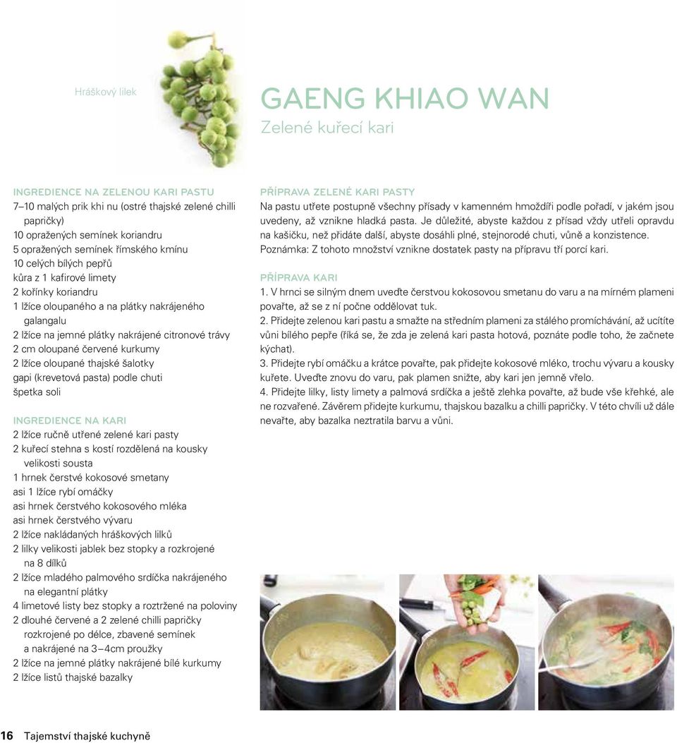 červené kurkumy 2 lžíce oloupané thajské šalotky gapi (krevetová pasta) podle chuti špetka soli INGREDIENCE NA KARI 2 lžíce ručně utřené zelené kari pasty 2 kuřecí stehna s kostí rozdělená na kousky